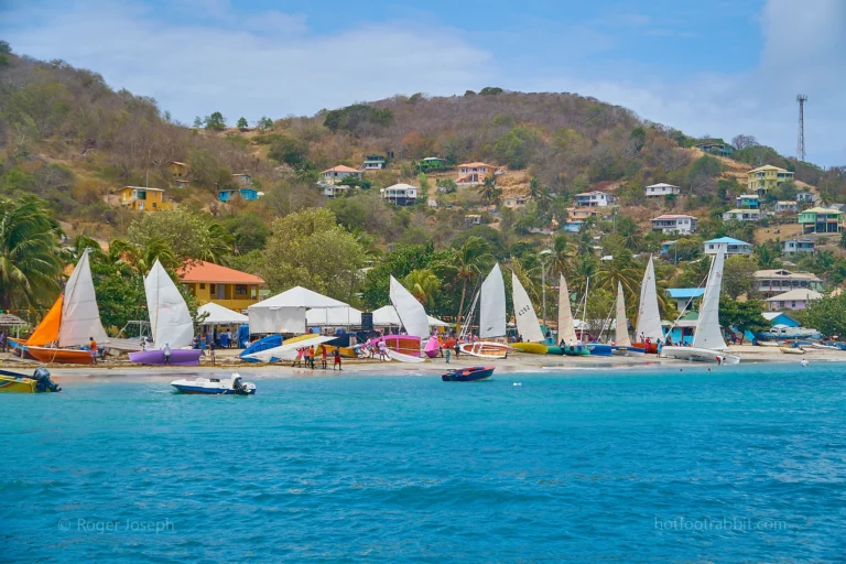 Set Sail for Petite Martinique Whitsuntide Regatta